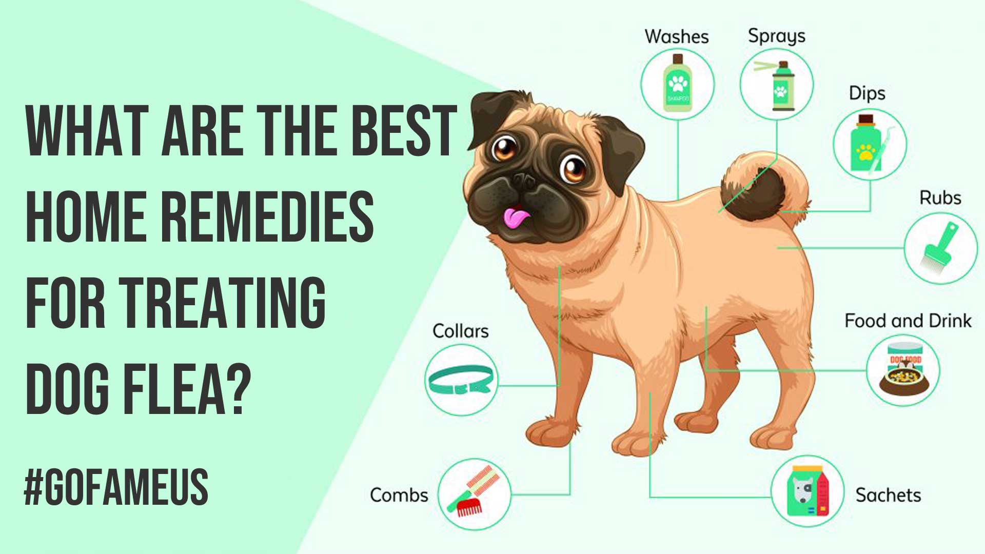 What are the Best Home Remedies for Treating Dog Flea?