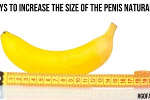 Ways to Increase the Size of the Penis Naturally