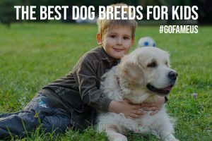 The Best Dog Breeds for Kids