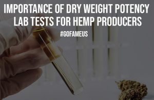 Importance of Dry Weight Potency Lab Tests for Hemp Producers