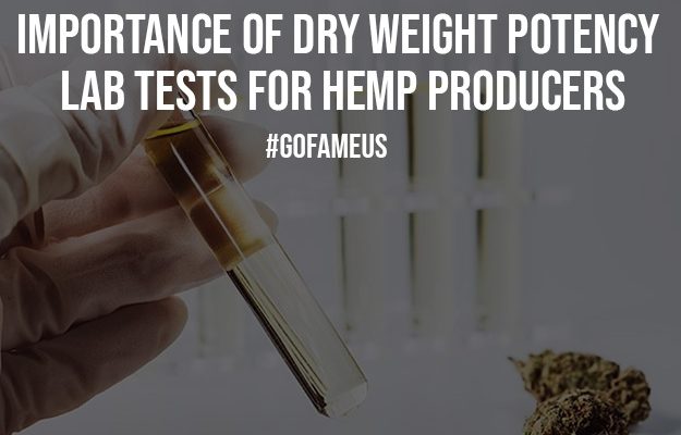 Importance of Dry Weight Potency Lab Tests for Hemp Producers