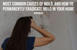 Most Common Causes of Mold And How To Permanently Eradicate Mold In Your Home