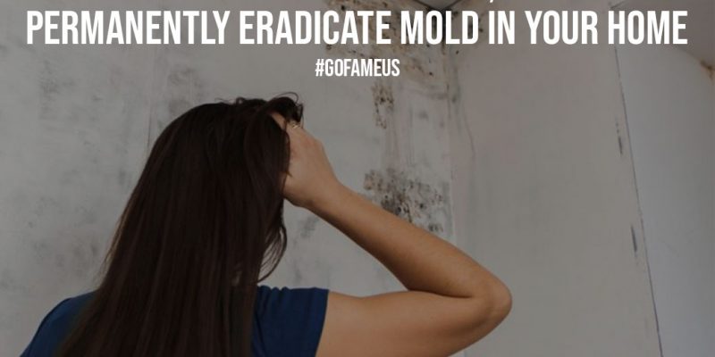 Most Common Causes of Mold And How To Permanently Eradicate Mold In Your Home