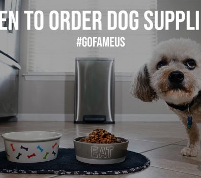 When to Order Dog Supplies