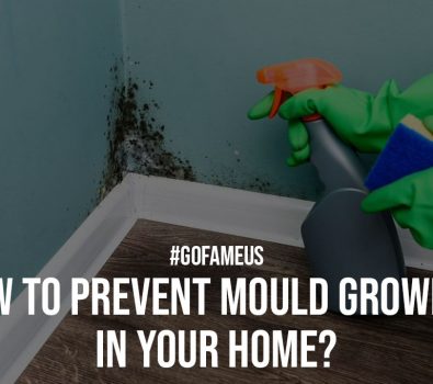 How to Prevent Mould Growing in your Home