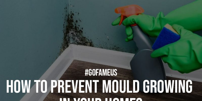 How to Prevent Mould Growing in your Home