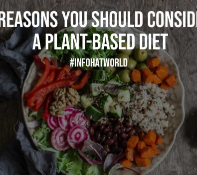 7 Reasons You Should Consider a Plant Based Diet
