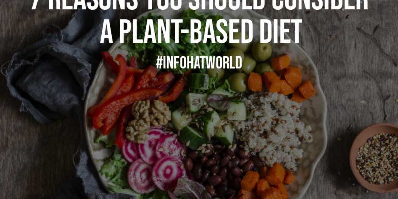 7 Reasons You Should Consider a Plant Based Diet