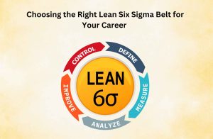 Lean Six Sigma Belt