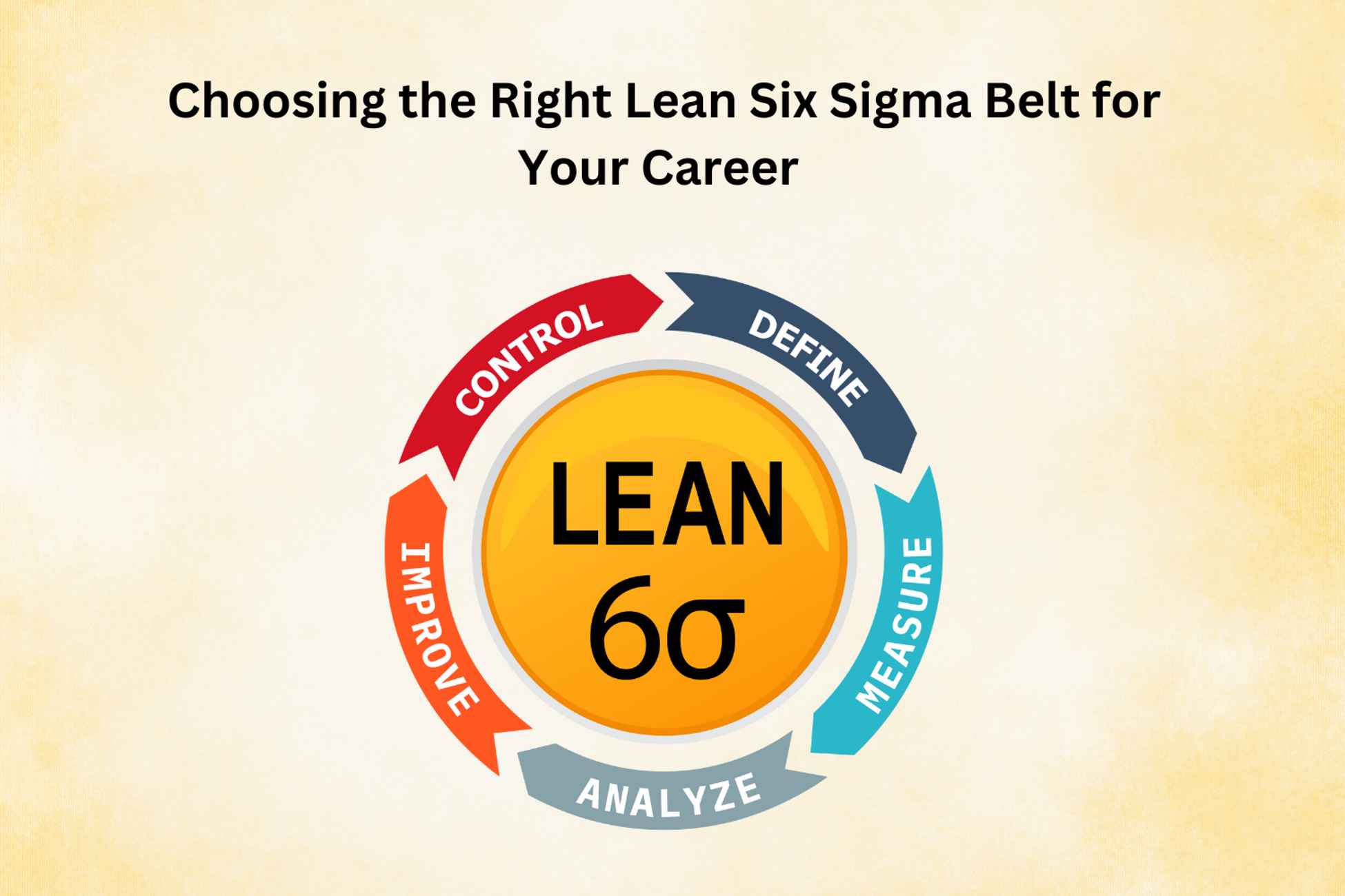 Lean Six Sigma Belt